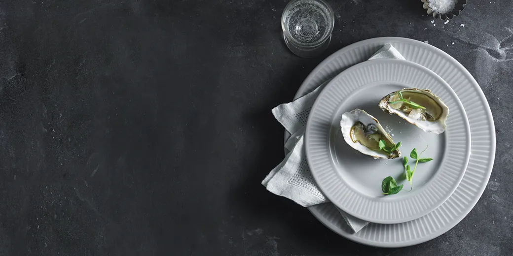 Bæredygtighed - Pillivuyt