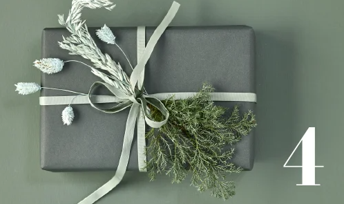 Skærmbillede 2021 03 31 113447