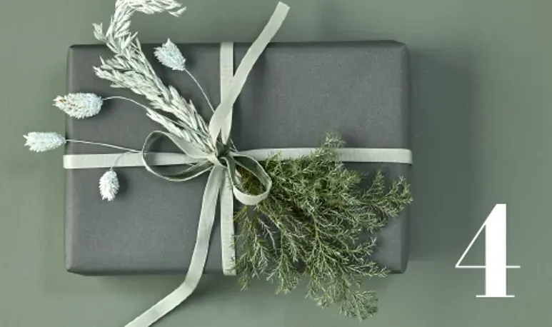 Skærmbillede 2021 03 31 113447