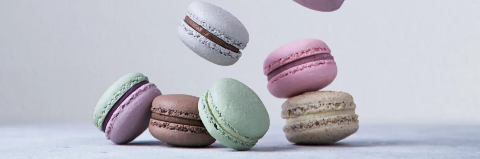 Essens2 1568X520px S.21 Macaroons