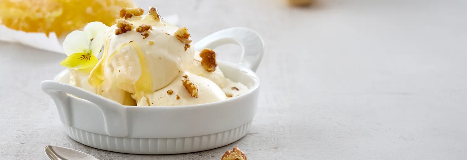 M 3050910341950 18565 Piliivuyt Toulouse Fad 1568X520px