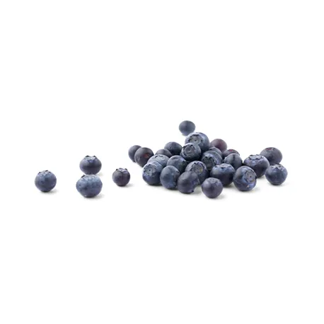 Untitled 1 0005 Shutterstock 552955396