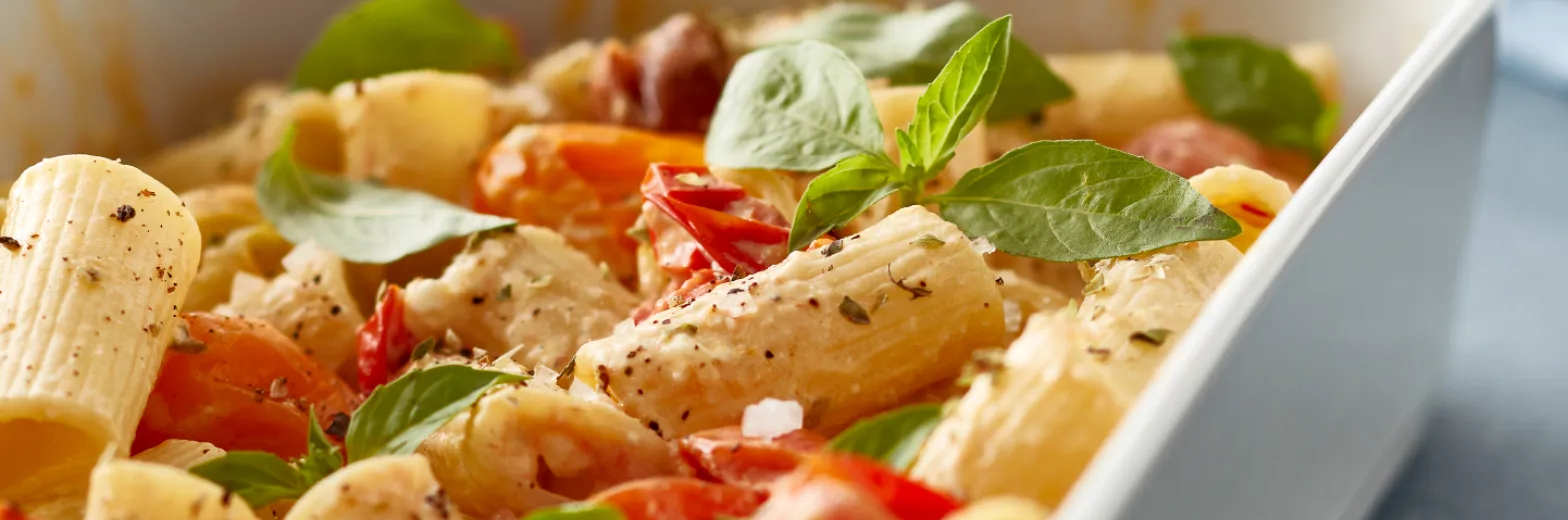 M Essens 1 2023 S 15 3050910354479 24281 Pilivuyt Fad Toulouse V3 1568X520px