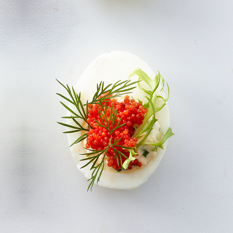 800X800px 6 Stenbiderrognogdild