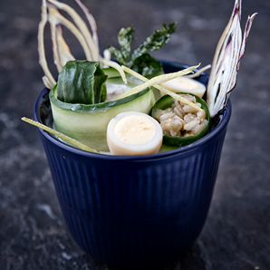 Forretter 298X298px Tunmousse