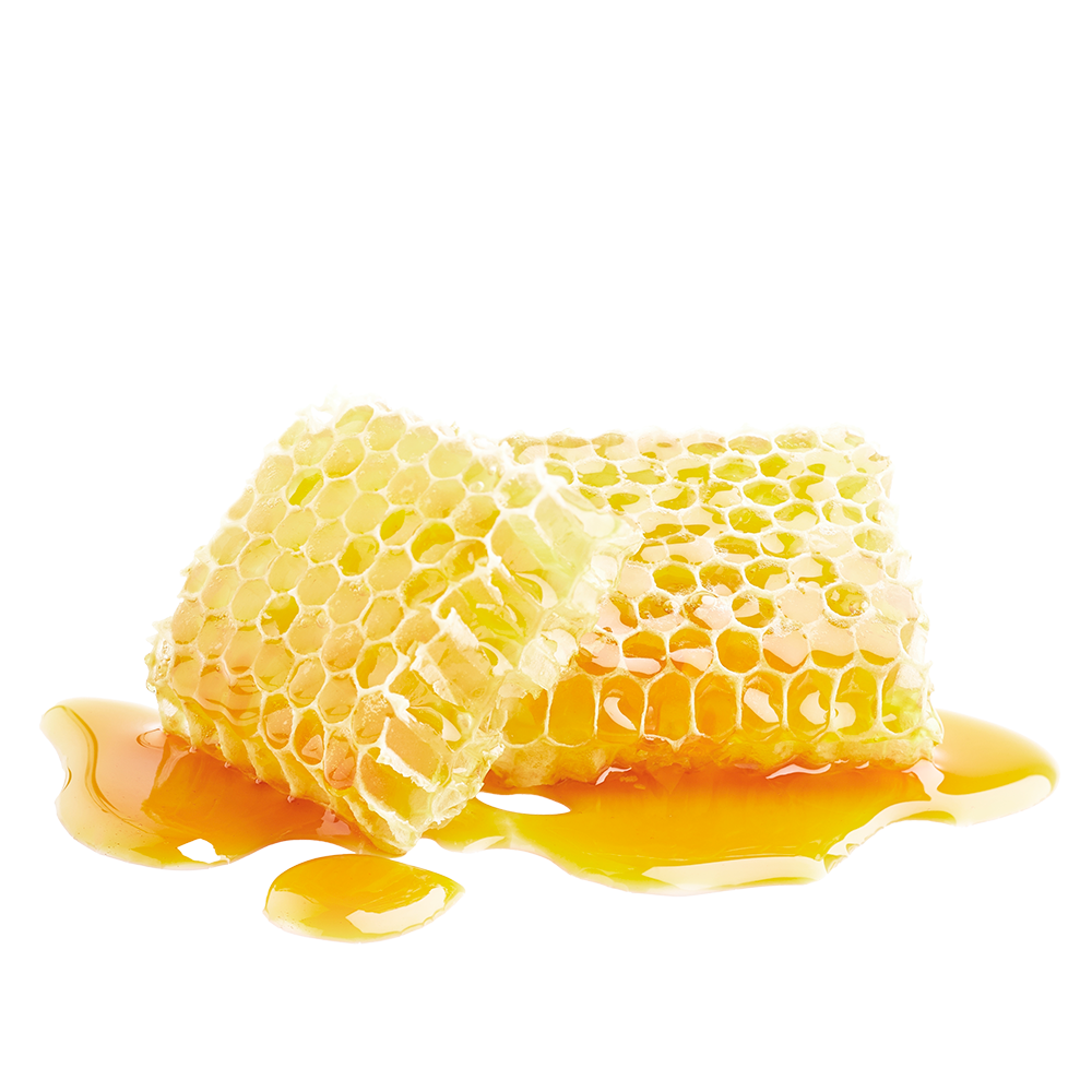 KK ESSNES 1 2025 Madglad Honning Frittet Shutterstock 2353618825 1000X1000px