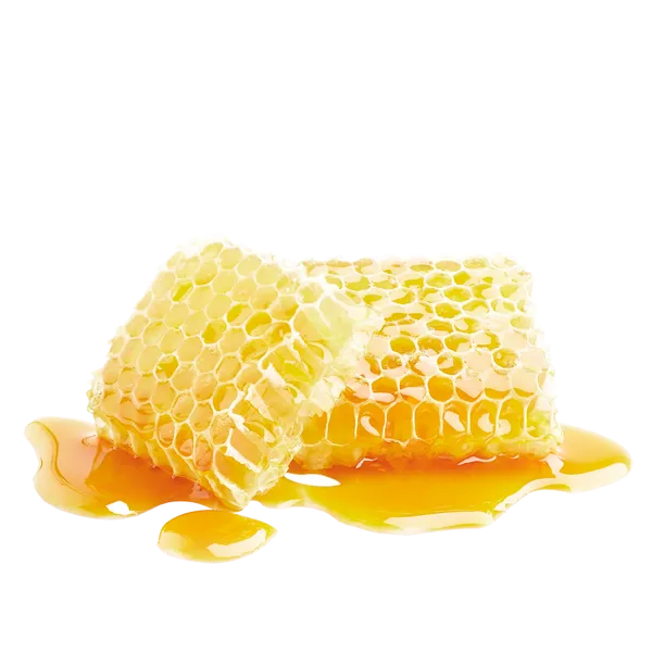 KK ESSNES 1 2025 Madglad Honning Frittet Shutterstock 2353618825 1000X1000px