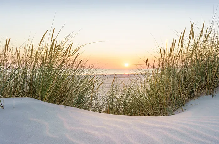 700X460 Havet