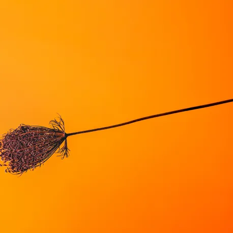 Marek Piwnicki Jwv3qgzu70o Unsplash