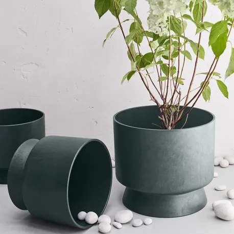 800X800px 0005 2022 20624 20623 Argb High