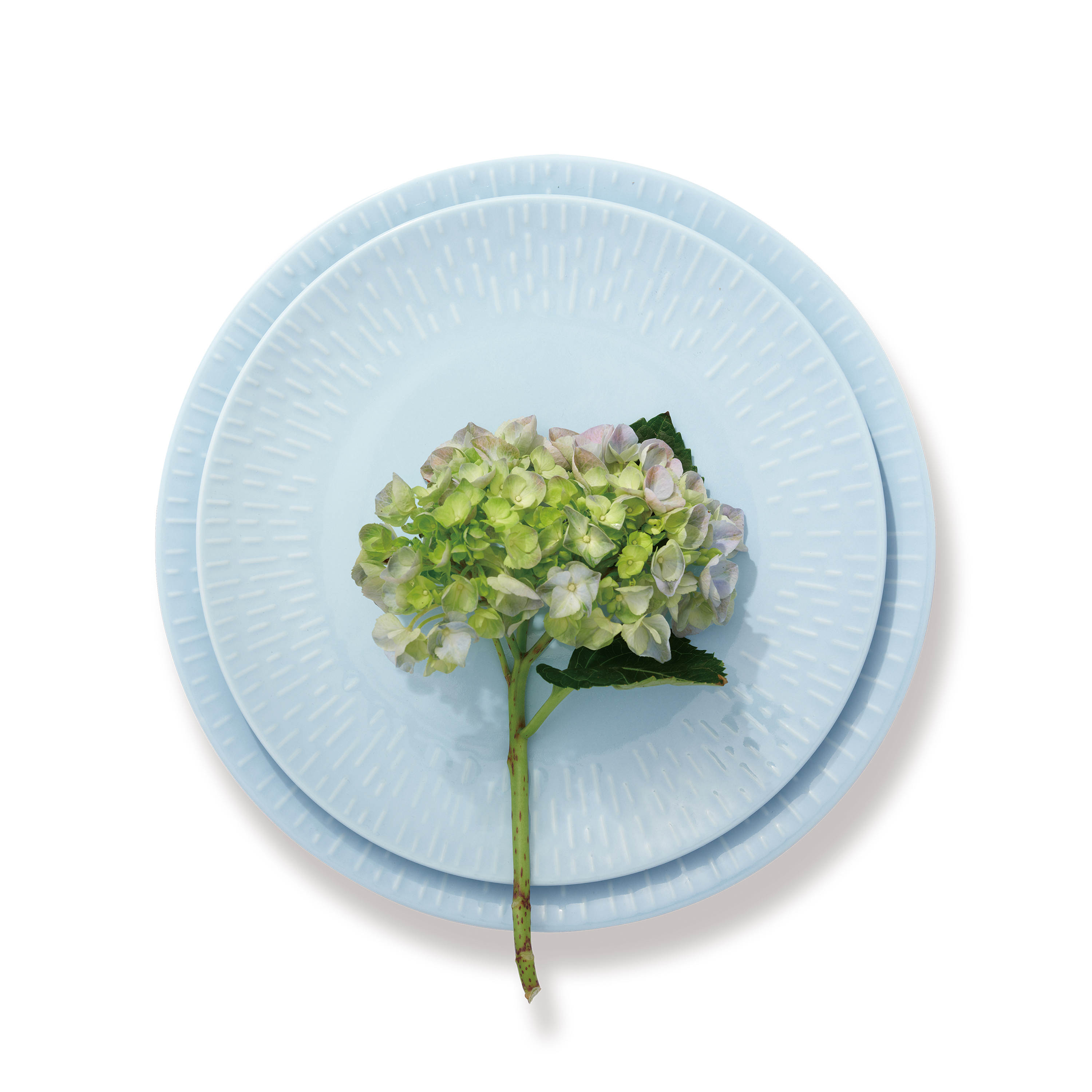 Confetti 13443 13446 Shadow 2023 (1)