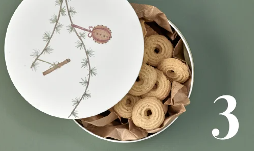 Skærmbillede 2021 03 31 113427