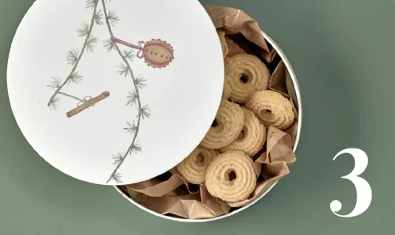 Skærmbillede 2021 03 31 113427