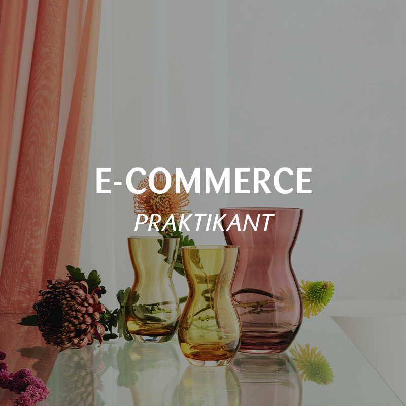 Jobside Keadekontor 2025 800X800px Ecommerce Praktikant