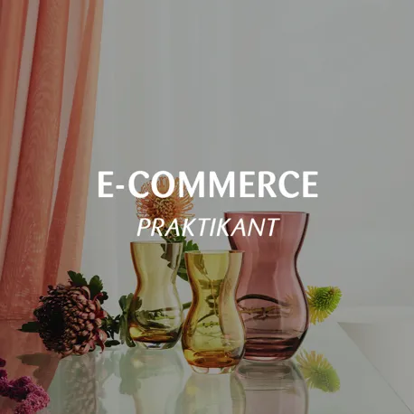 Jobside Keadekontor 2025 800X800px Ecommerce Praktikant