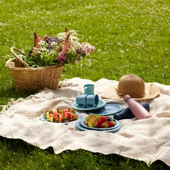 Picnic 800X800px