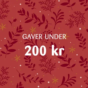 KK Julegaver Paa Budget 1 V3