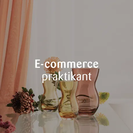E Commerce