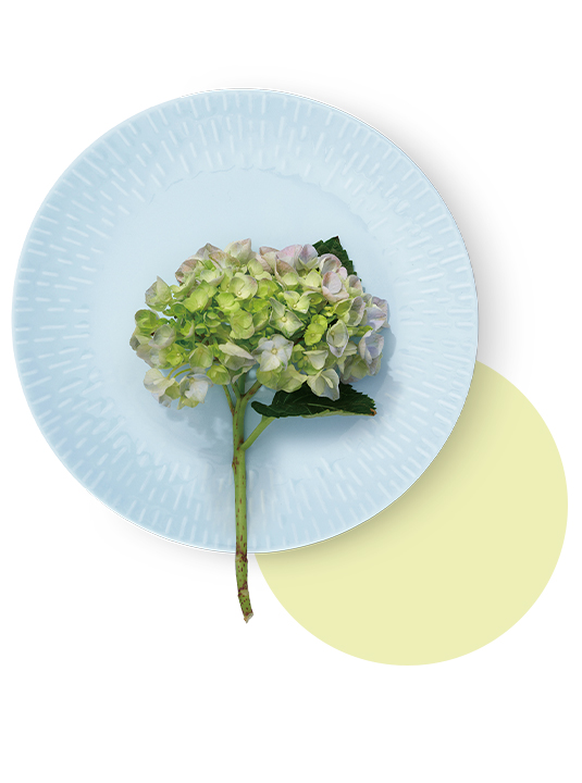 5709554134463 13446 Aida Frokosttallerken Confetti 13 535X720px V2