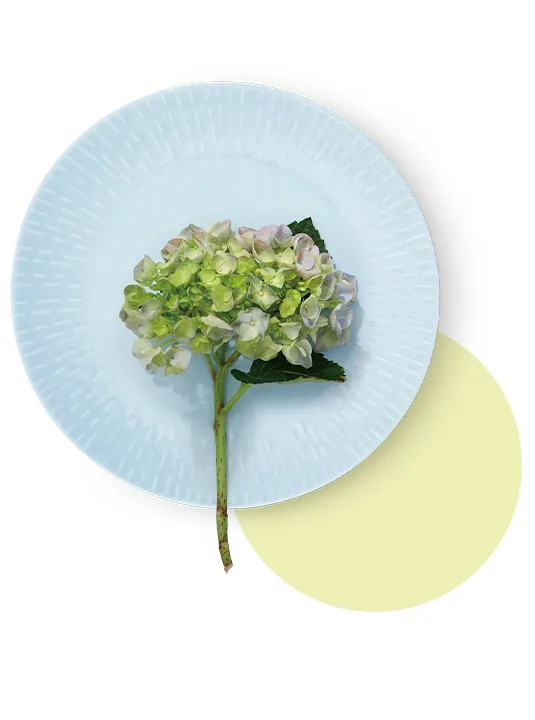 5709554134463 13446 Aida Frokosttallerken Confetti 13 535X720px V2