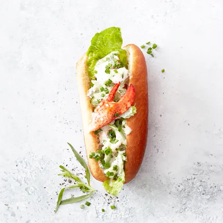 M Essens 2 2023 Side 20 21 800X800 Hummer Dog