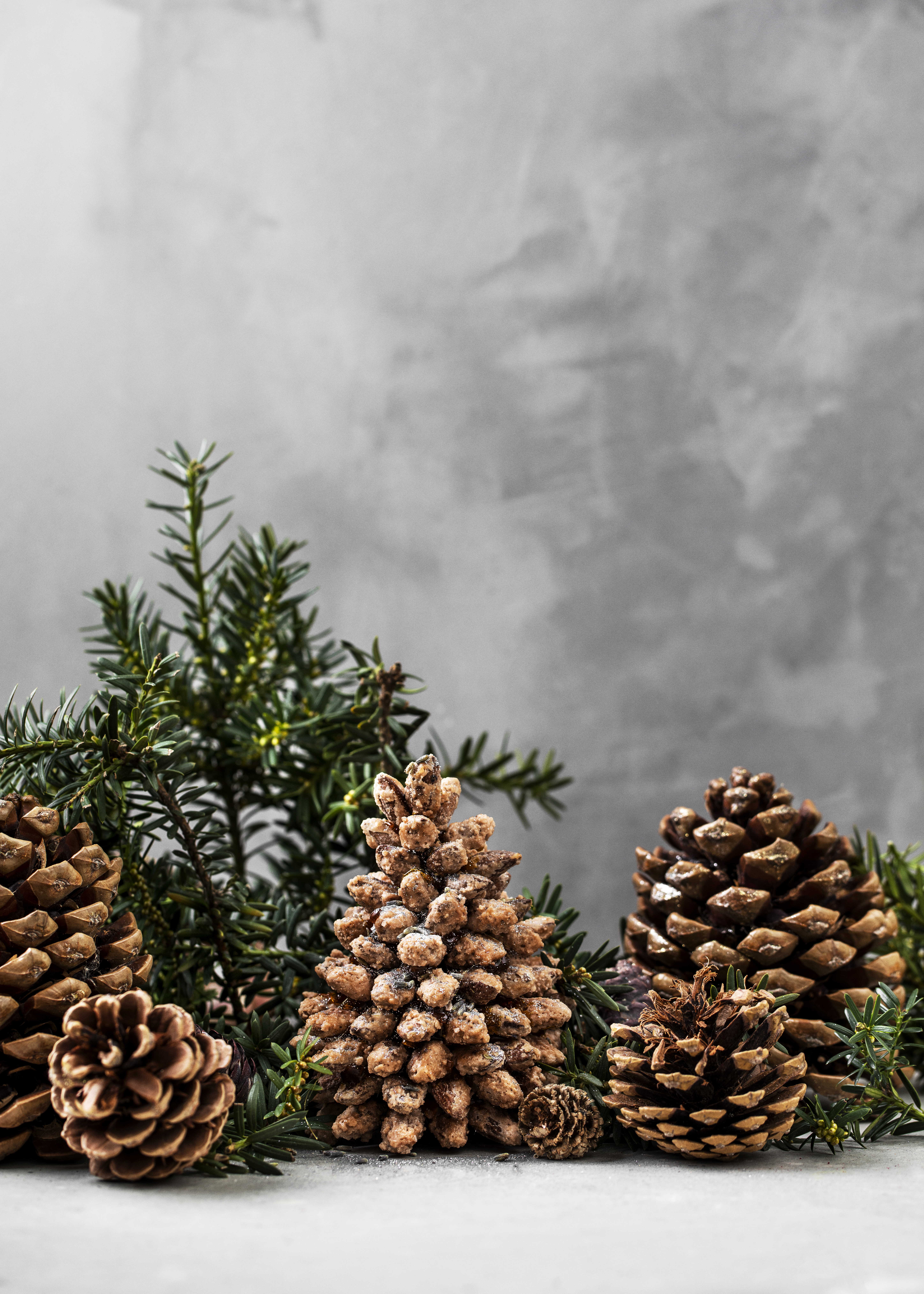 Kogle Brændtemandler Tobiashamann