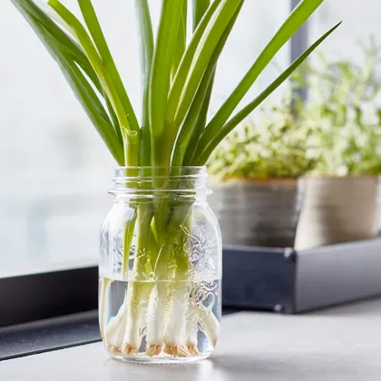 M Essens 1 2024 Side 26 Hack 800X800px