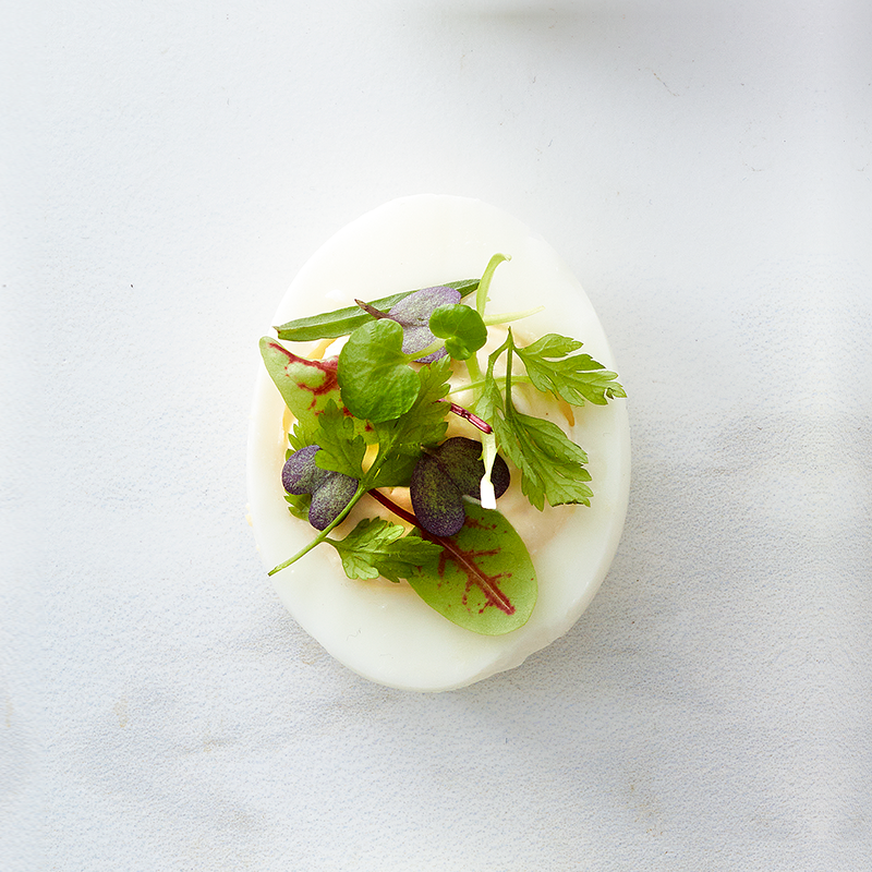 800X800px 4 Fetaostogurter