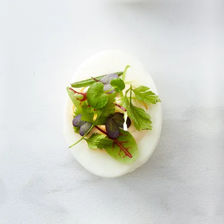 800X800px 4 Fetaostogurter