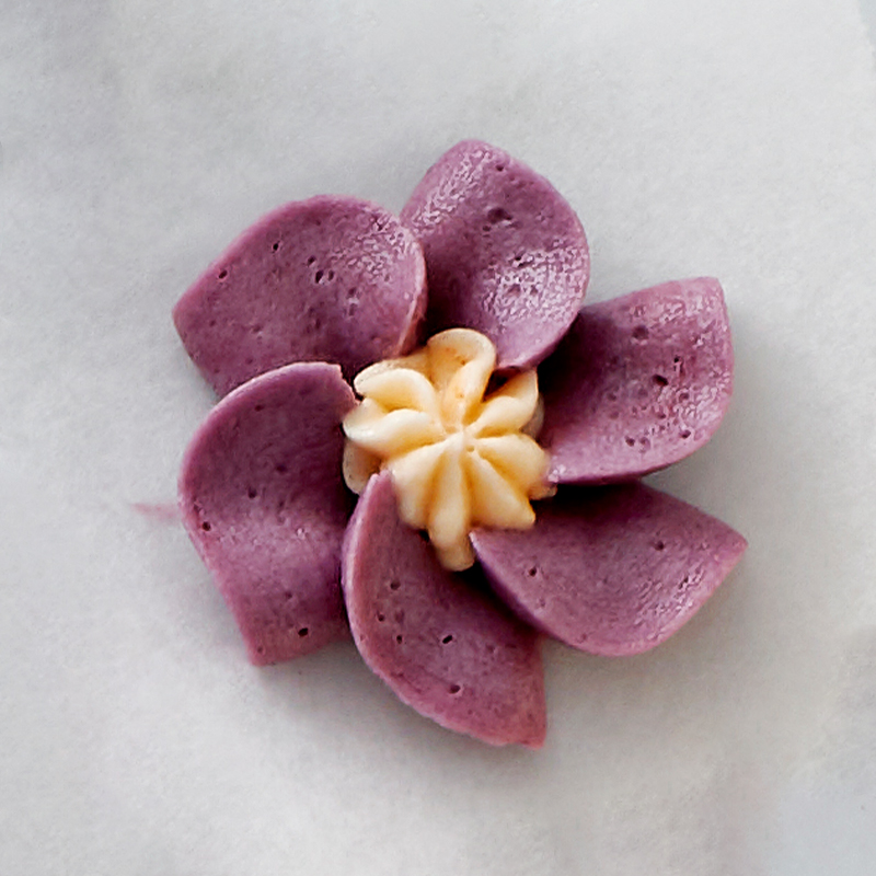 KK ESENSS 1 Smoerblomster Enkle 800X800px Primula