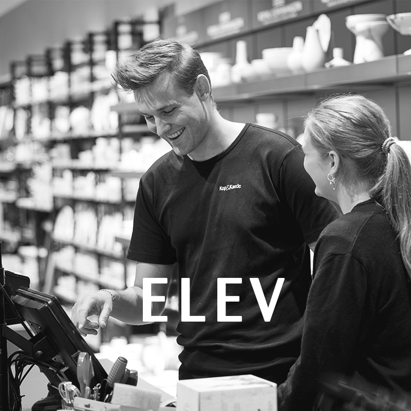 KK Website Jobside Ledige Stillinger Elev