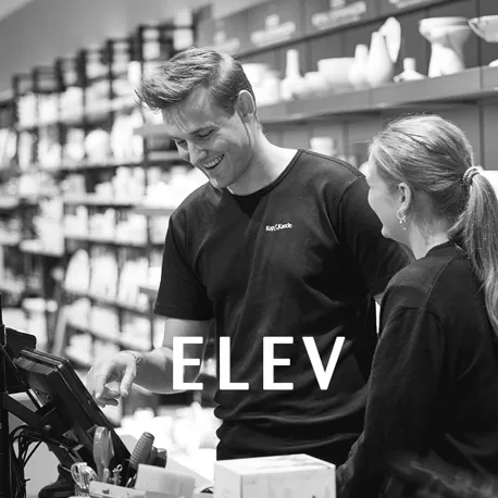 KK Website Jobside Ledige Stillinger Elev