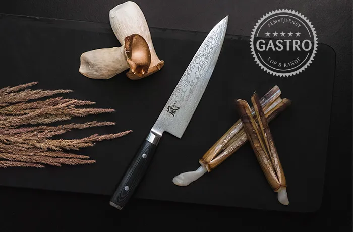 Femstjernet Gastro 1