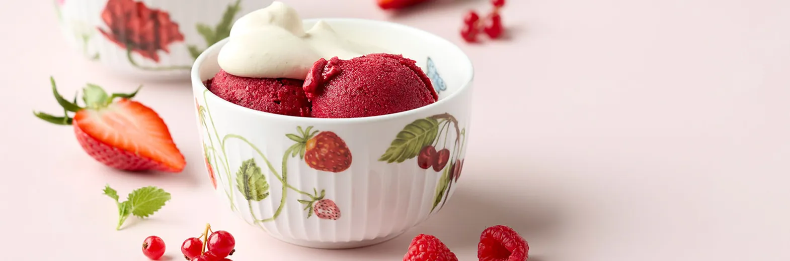 1570X520 Sorbet