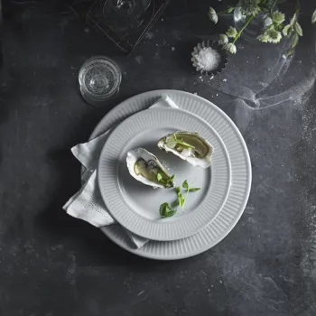 63037 Pillivuyt Miljoe 1 Graa Plisse