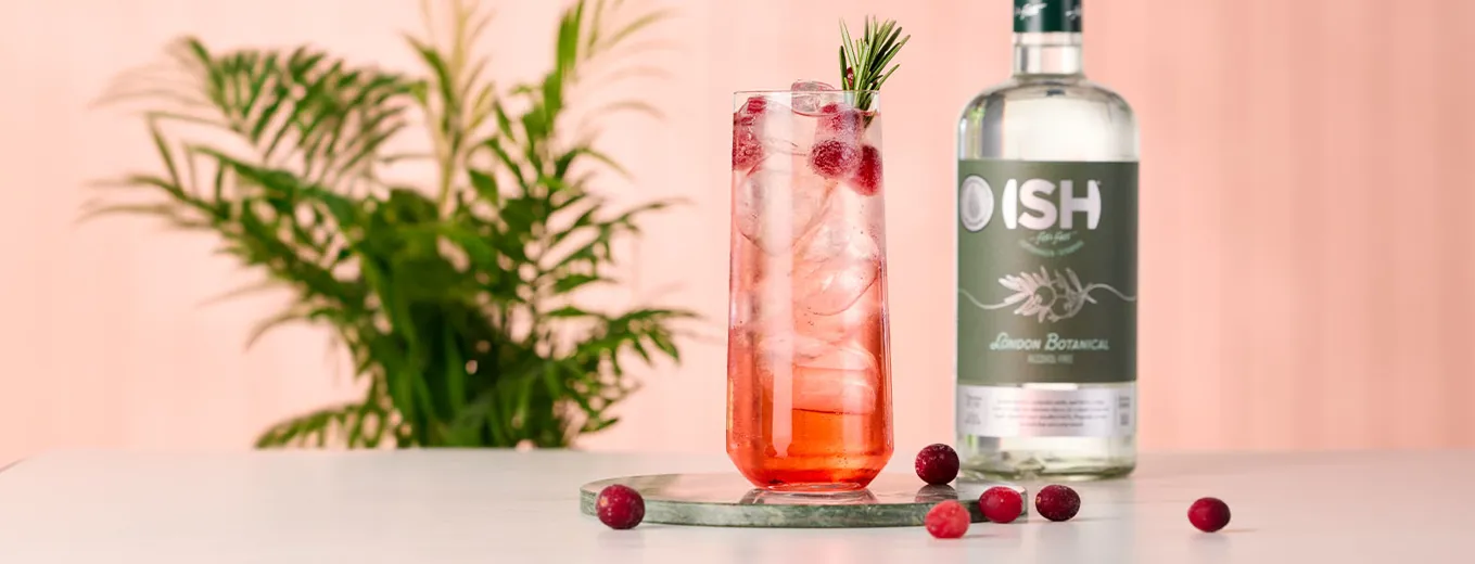 M 5713275223993 10019695 GJ Highball 1568X600px