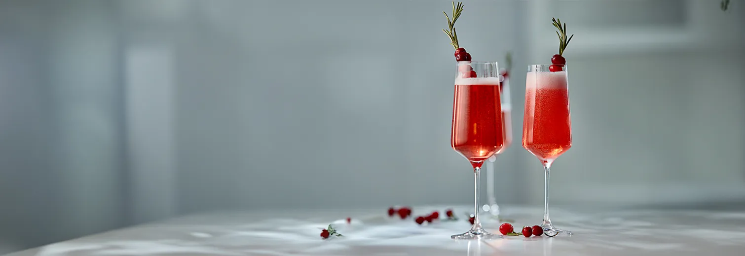 M 5713275224051 10019698 Georgjensen Bernadotte Champagneglas Bagside 1568X520px