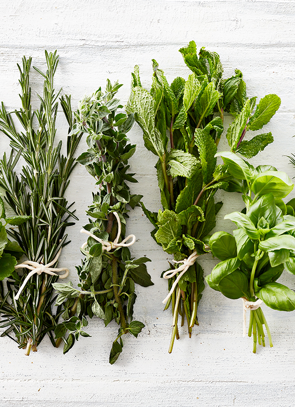 Essens Sommer 2020 Krydderurter 580X800px
