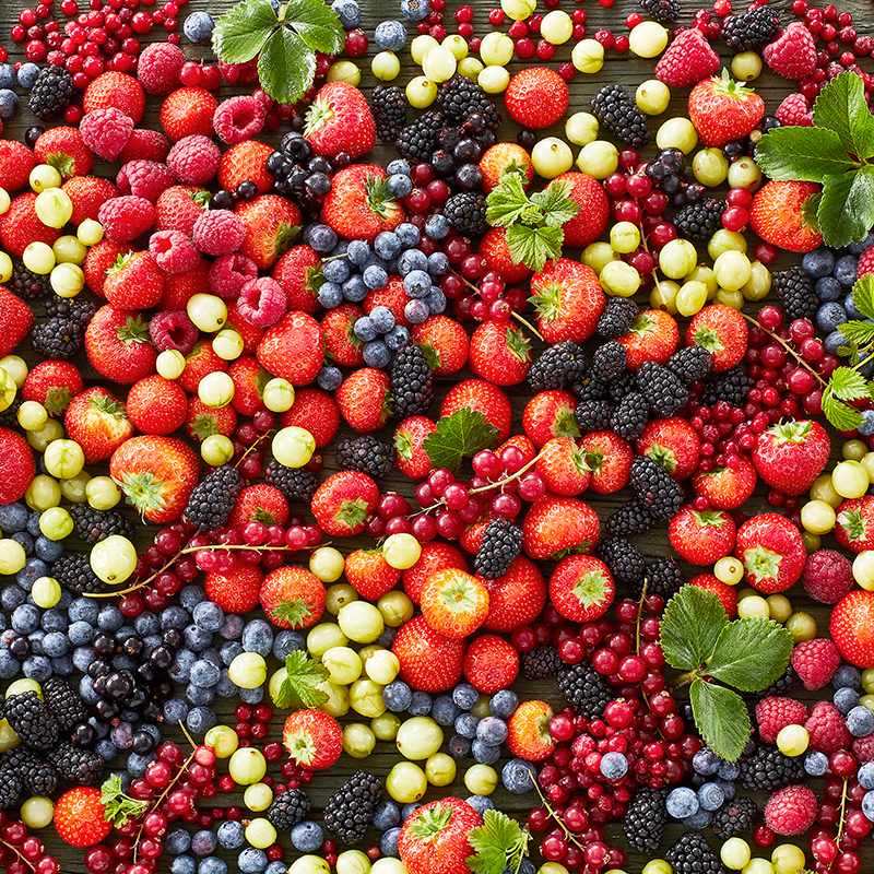 KK ESSENS 2 2023 SIDE 7 8 BAER 02 800X800