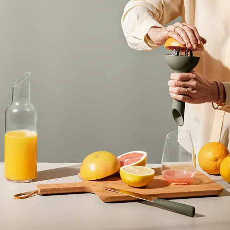 Citruspresser 800X800