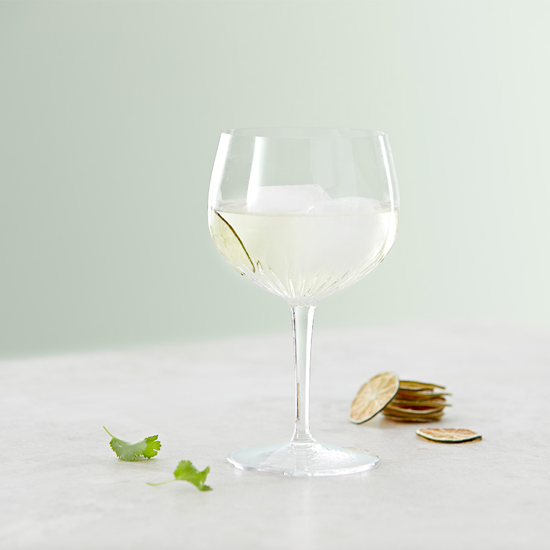 800X800 Ginogtonicglas