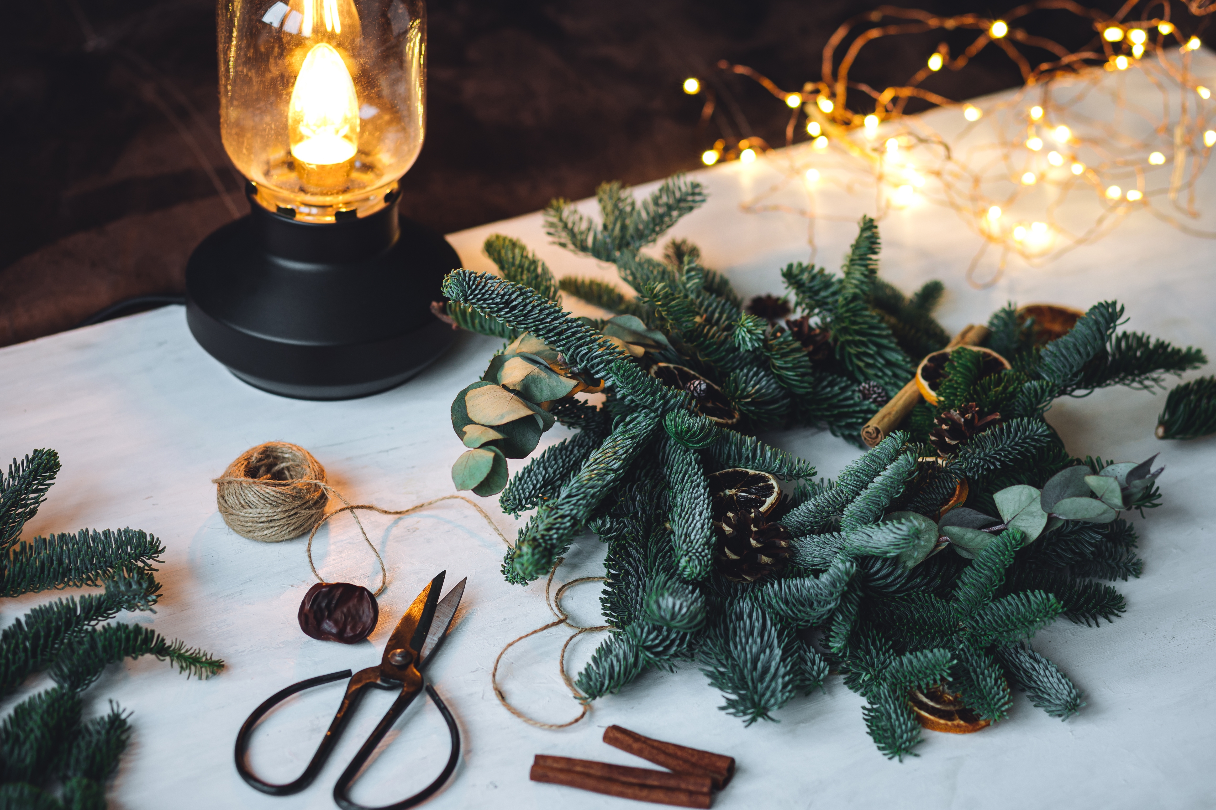 Shutterstock 2387560905