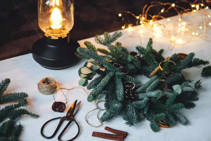 Shutterstock 2387560905