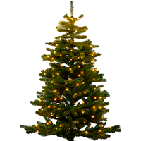 KK Redesign Web Category Packshots 200X200px BORD Underkategorier Hoejtider Traeer