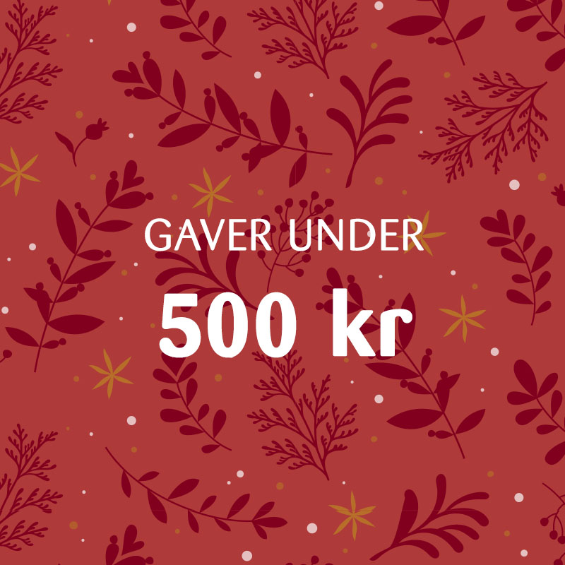 KK Julegaver Paa Budget 3 V3