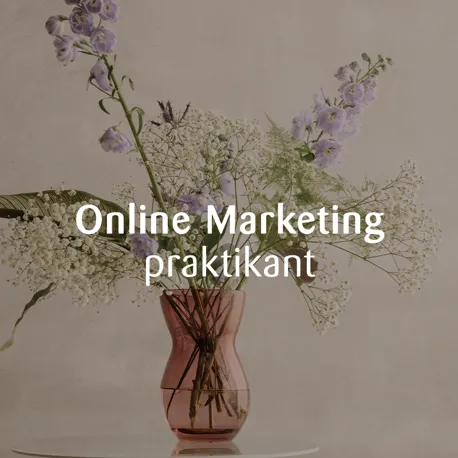 Online Marketing Praktikant (2)