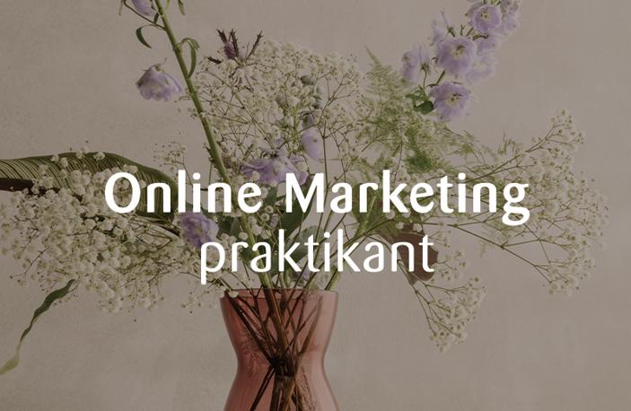 Online Marketing Praktikant (2)