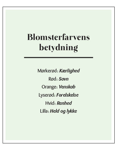 KK2018 1200X400 3Xspots Blomster A