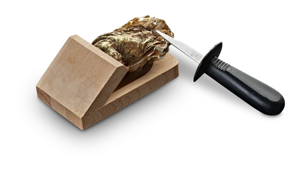 5703553010056 110200000 Oesterskniv Zwilling 1