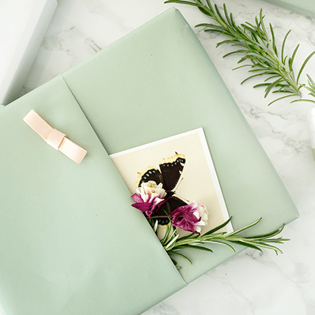 Indpakning Kuvert 447X447